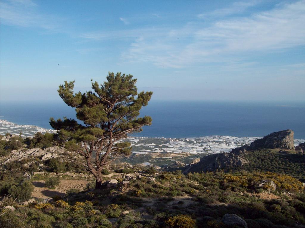 Diktynna Traditional Villas Anatolí Eksteriør bilde